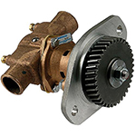 Raw Water Pumps